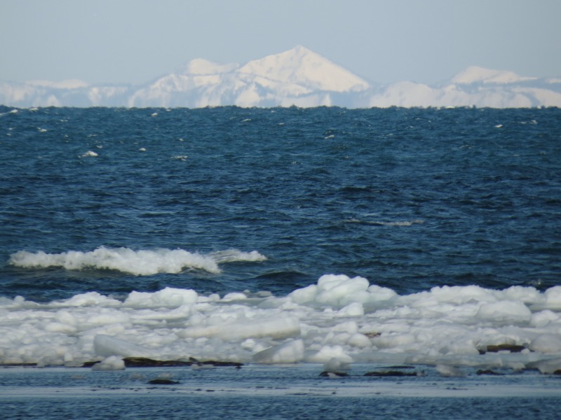 c0183777_10203678.jpg