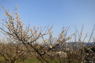 f0037378_17351817.jpg