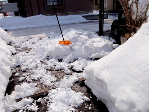 a0007388_11164636.jpg