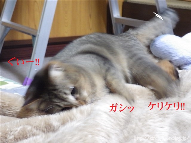 a0159490_1435112.jpg