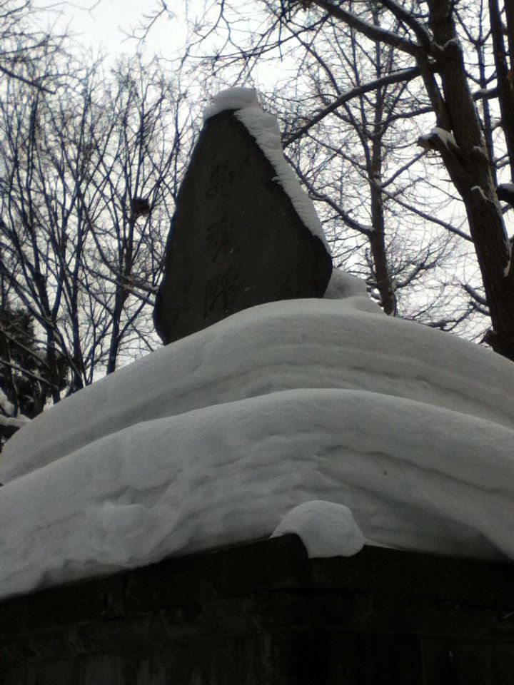 e0322201_858611.jpg