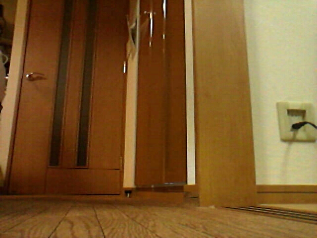 d0255522_024331.jpg
