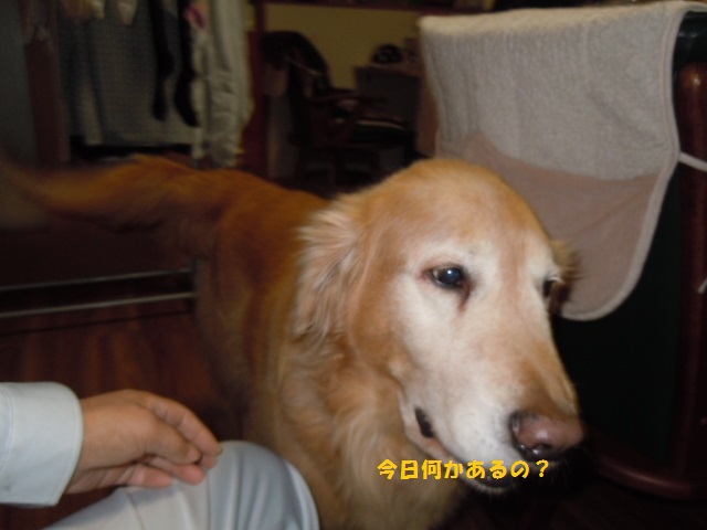 f0114128_1957397.jpg