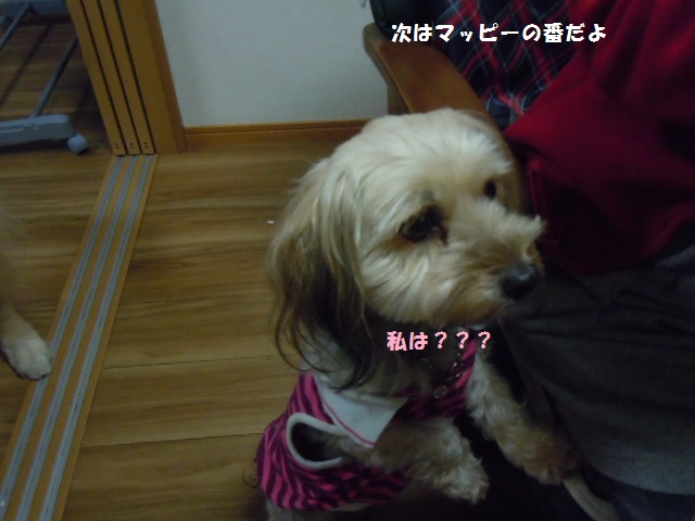 f0114128_2062889.jpg
