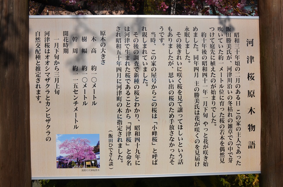 f0124830_122991.jpg