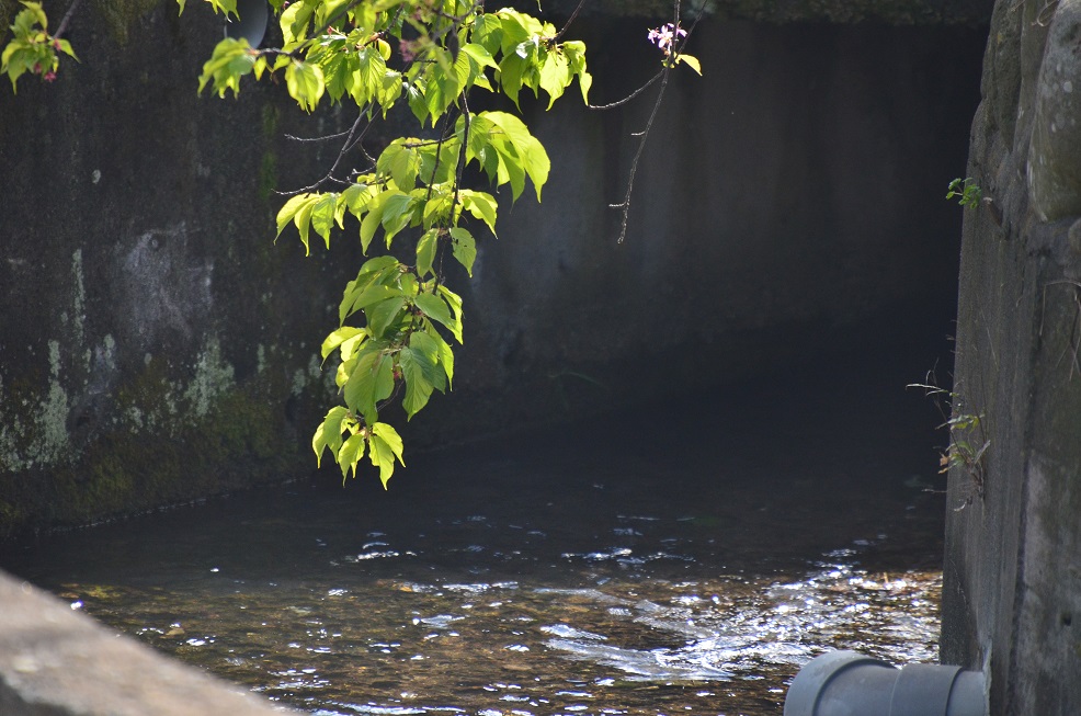 f0124830_22284470.jpg