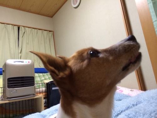 a0314846_1851768.jpg