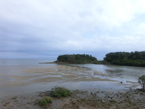 d0205250_1331424.jpg