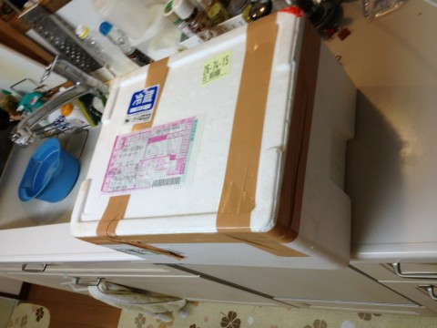 a0056654_19214421.jpg