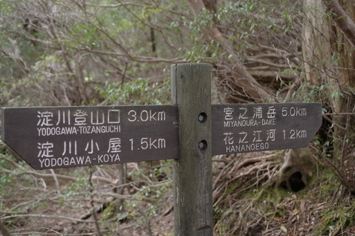 a0288155_18265671.jpg