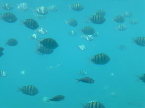 b0296855_22541268.jpg