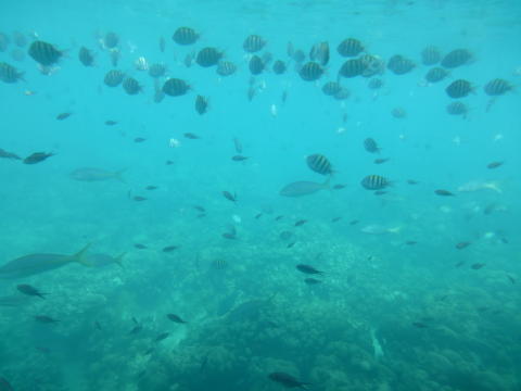 b0296855_22542811.jpg