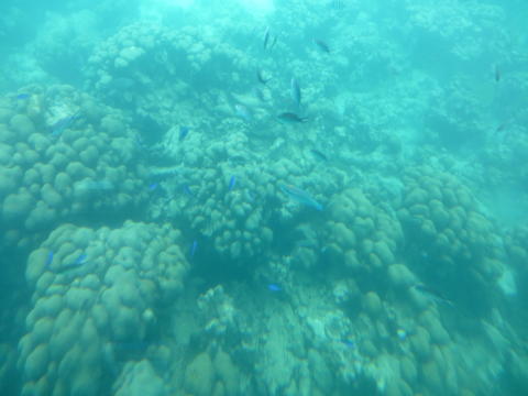 b0296855_22544297.jpg