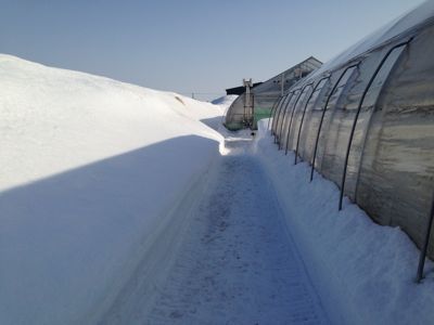 f0122259_18342657.jpg