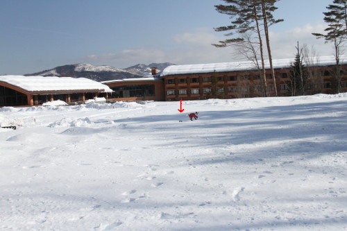 e0114977_19393776.jpg