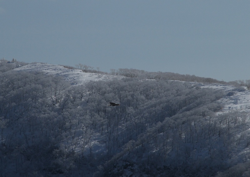 f0022486_22144024.jpg