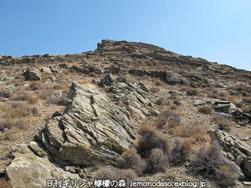 c0010496_04151450.jpg