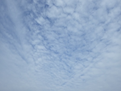 a0125598_20484581.jpg