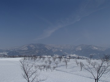 c0187298_19482455.jpg