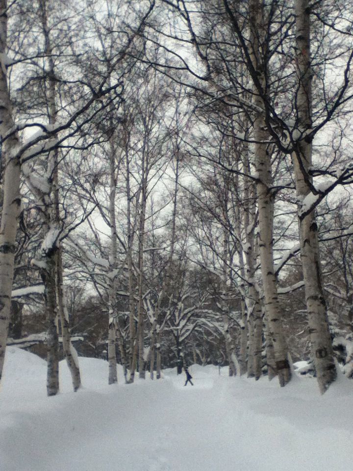 e0322201_915412.jpg