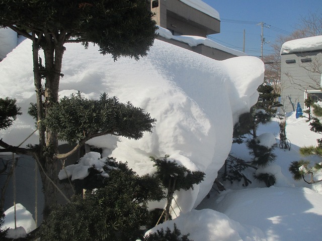 f0202703_2181289.jpg