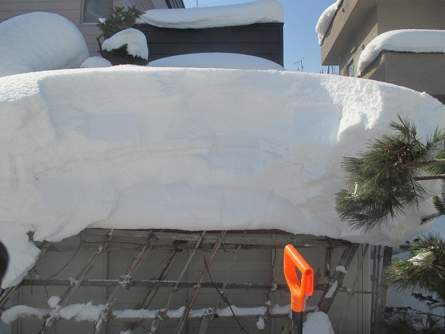f0202703_2195022.jpg