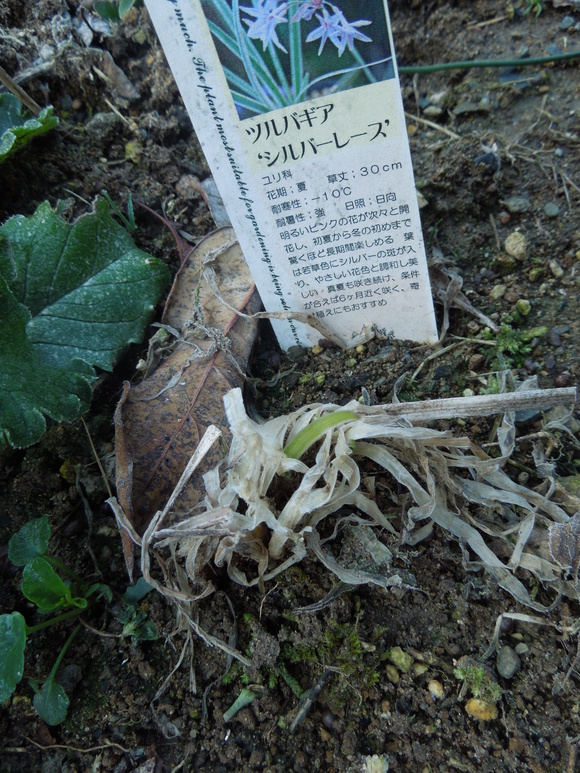 f0297809_18267.jpg