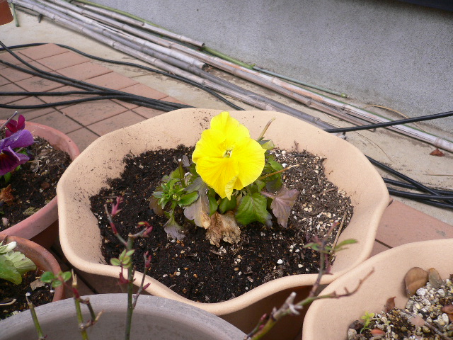 a0249215_13514675.jpg