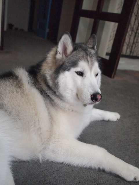 b0207615_20430404.jpg