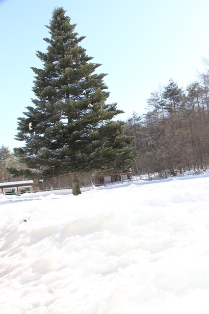 b0207615_20432674.jpg
