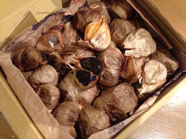e0195115_8545790.jpg