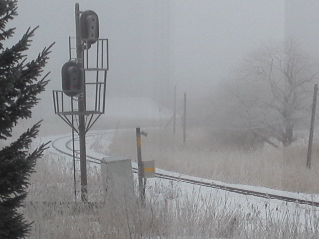 b0300818_15584999.jpg