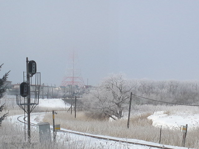 b0300818_15591142.jpg