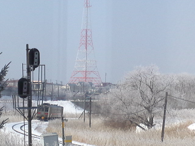 b0300818_15593825.jpg