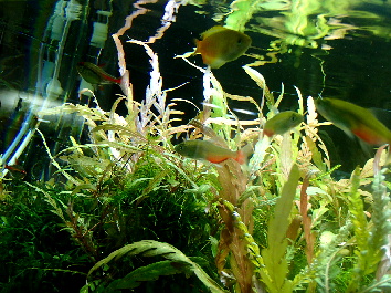 d0212519_23291780.jpg