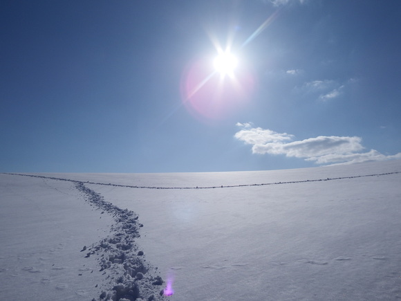 f0118332_2138113.jpg