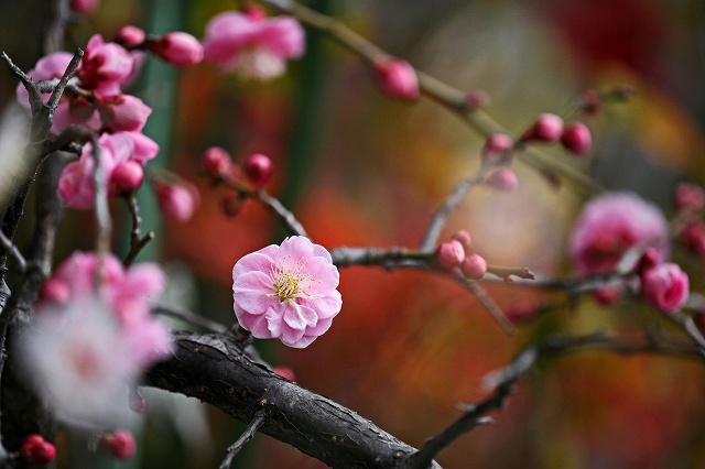 a0242438_20125176.jpg