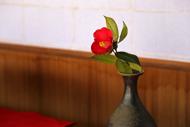 a0242438_20141142.jpg