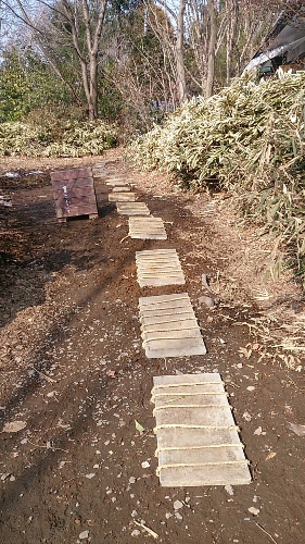 e0277142_14404869.jpg