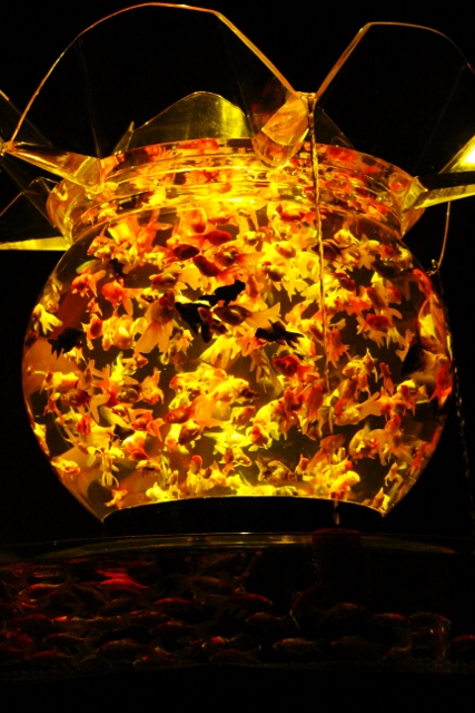 e0039744_21283493.jpg