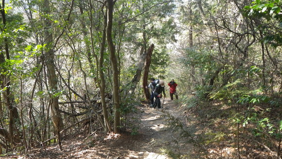 c0042847_13254411.jpg