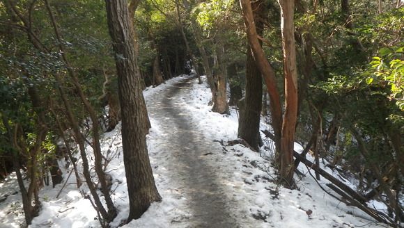 c0042847_13282613.jpg