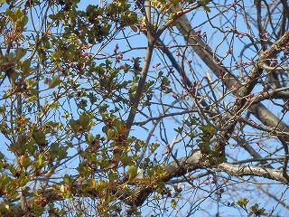e0004756_21115950.jpg