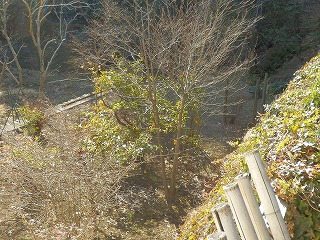 e0004756_2122312.jpg