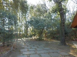 e0004756_2163722.jpg
