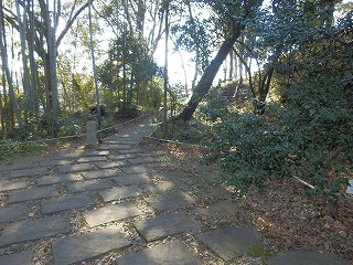 e0004756_2172883.jpg