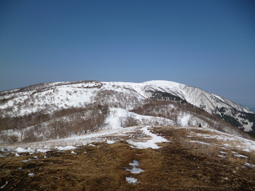 d0231858_1783425.jpg