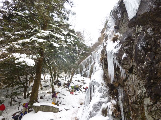 d0126573_258186.jpg