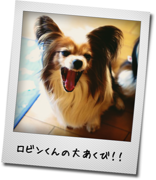 a0232774_13563047.png