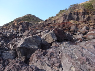 a0137192_1742384.jpg